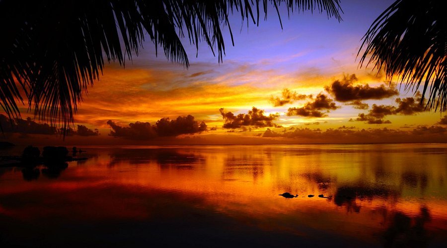 🏞️ 야바세 귀범도 공원(야바세키한토 코엔) 이미지 7